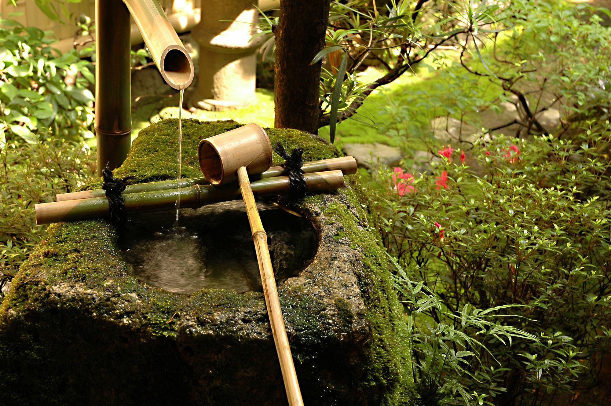 Ryokan Motonago Киото Экстерьер фото